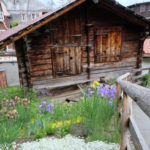 Colorful flowers in front of a log shed in Switzerland | www.switchbackstrategy.com