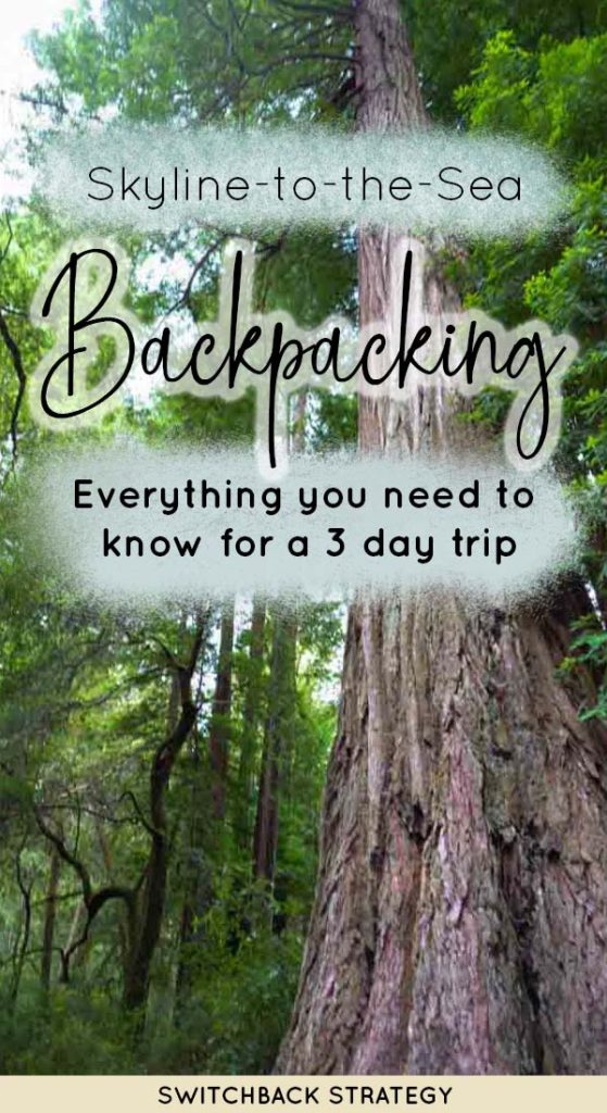 Skyline-to-the-sea trail, towering redwoods, hiking trail backpacking guide