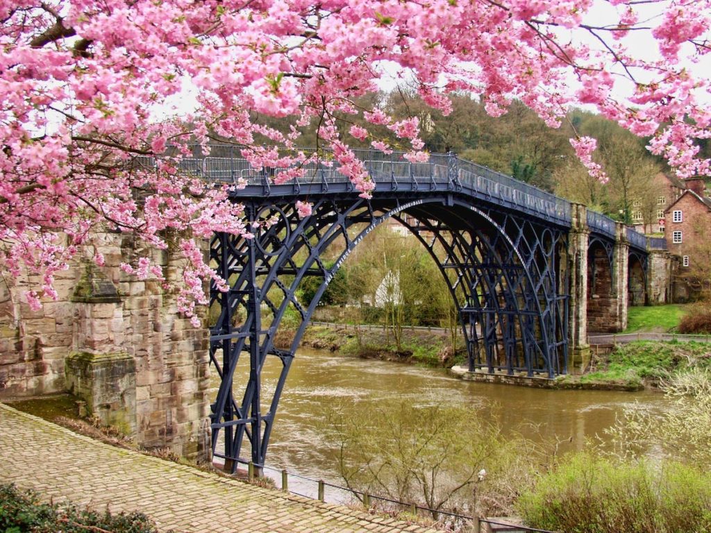 Walking path by water with bridge and cherry blossom