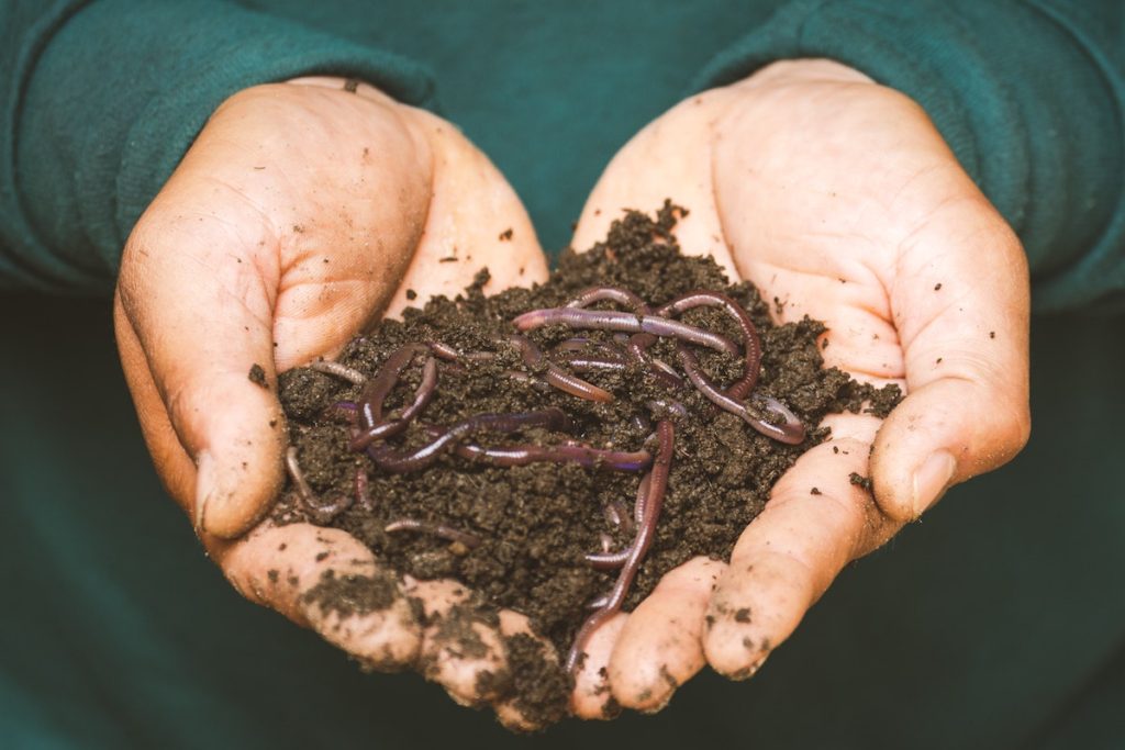 Hands holding dirt